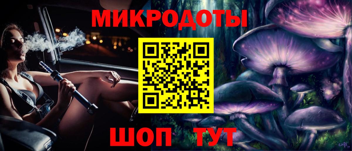 Псилоцибиновые грибы Cubensis Торжок