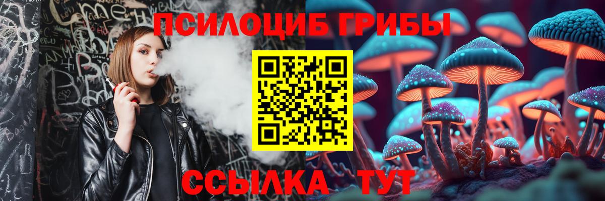 Торжок  магазин  наркотиков  Галлюциногенные грибы мухоморы  Вход с VPN  Псилоцибиновые грибы Psilocybine cubensis 